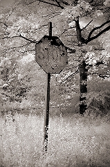 Decaying Stop Sign